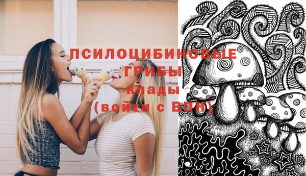 метамфетамин Богданович