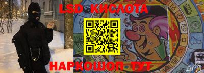 прущие грибы Гатчина