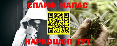 прущие грибы Гатчина