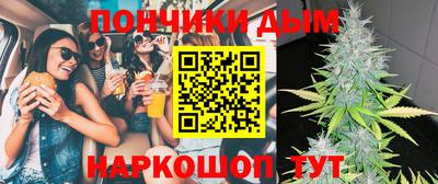 прущие грибы Гатчина
