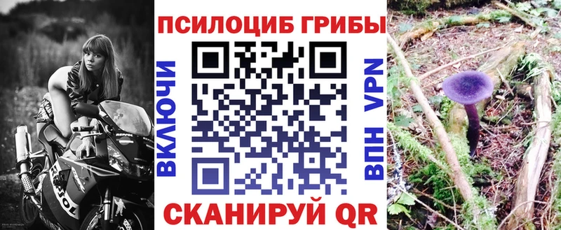 наркотики  Добрянка  Псилоцибиновые грибы Cubensis 