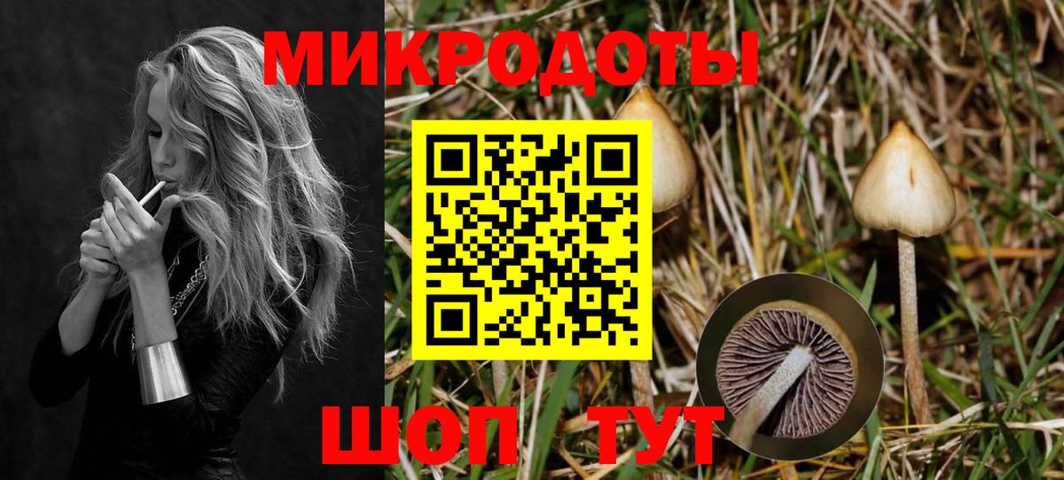 Галлюциногенные грибы прущие грибы  Галлюциногенные грибы ЛСД  Добрянка 