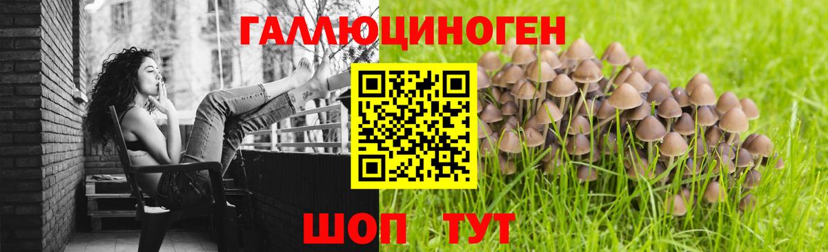 Галлюциногенные грибы GOLDEN TEACHER Добрянка