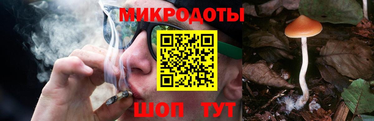 Галлюциногенные грибы Magic Shrooms  Вход с VPN  Добрянка  где купить наркоту  Галлюциногенные грибы прущие грибы 